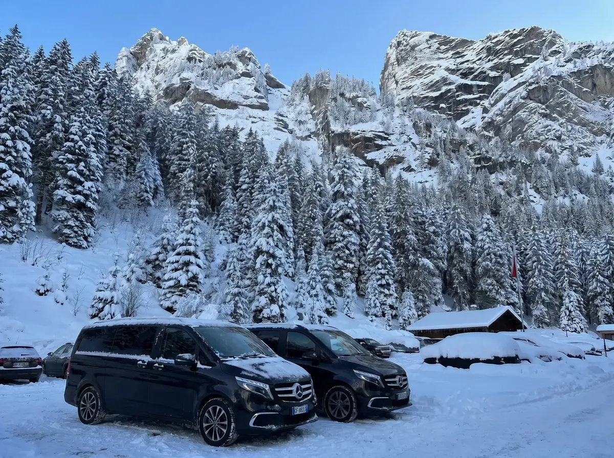 Mercedes Vans in Winter Alpine Conditions
